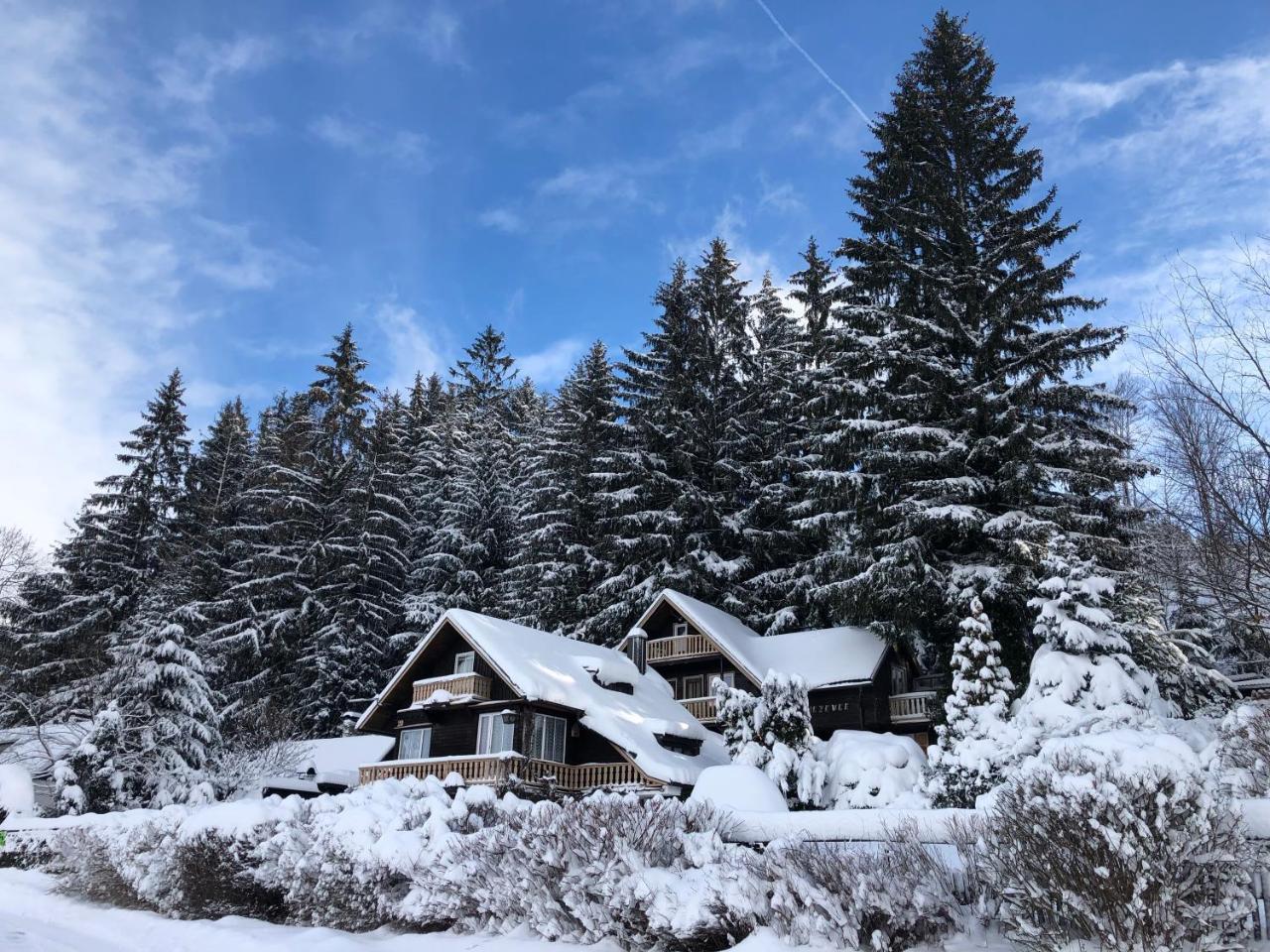 Chata Jezevec Hojsova Stráž Buitenkant foto