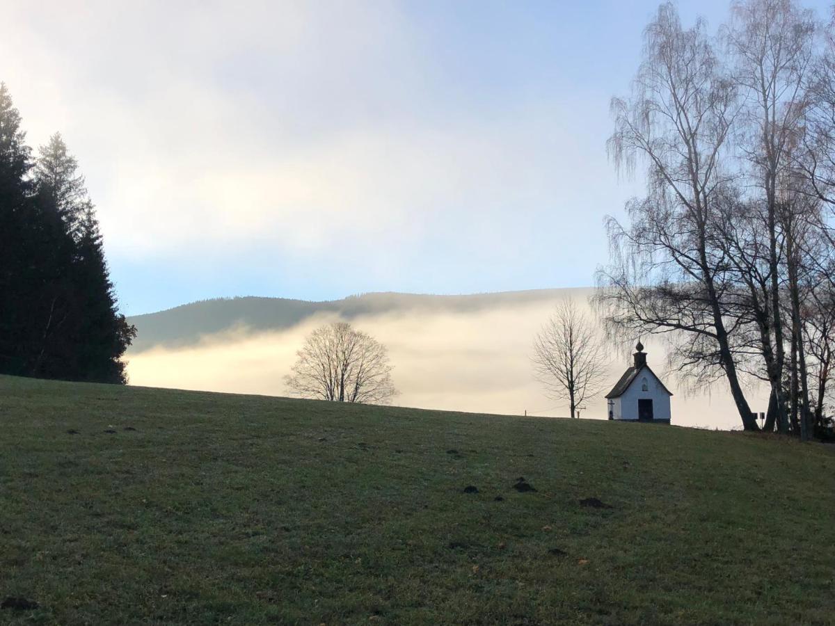 Chata Jezevec Hojsova Stráž Buitenkant foto